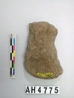 藏品(打製石斧)的圖片